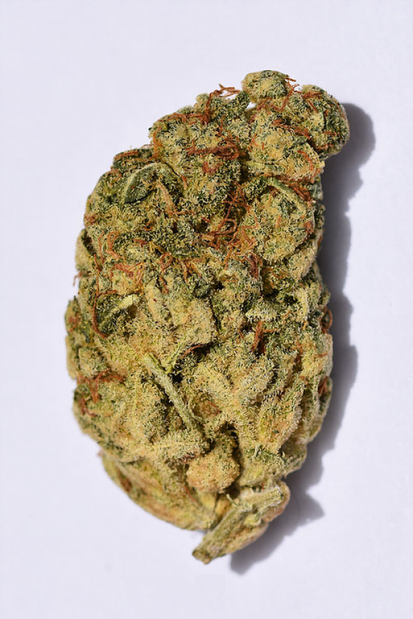 Wedding Cake Feminised Cannabis Seeds | Big Head Seeds 