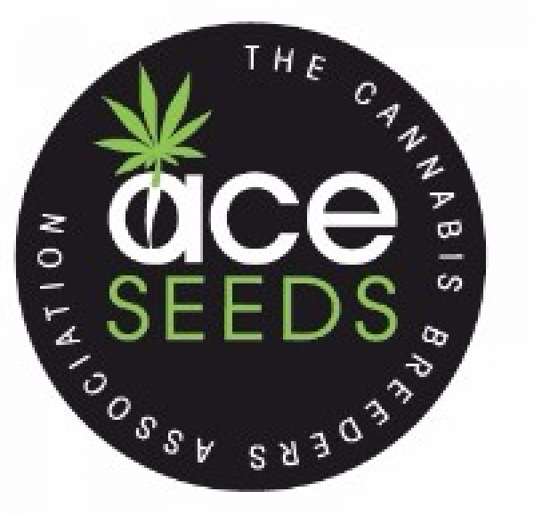 Green Haze x Malawi Regular Cannabis Seeds | Ace Seeds