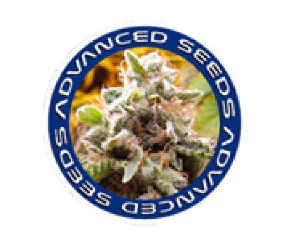 Advanced Seeds | Cannabis Seeds Store