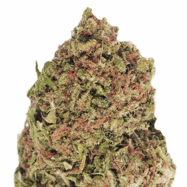 Dream Machine Feminised Cannabis Seeds | Heavyweight Seeds