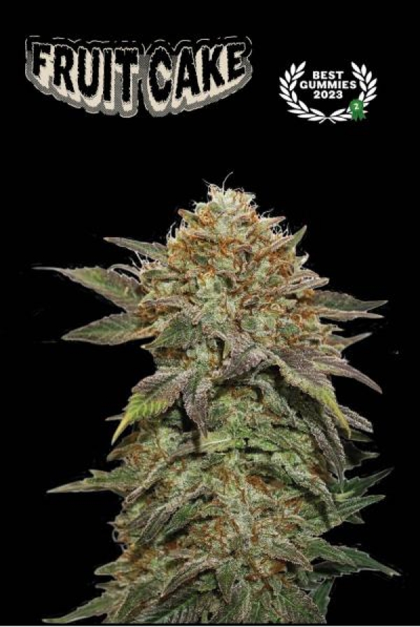 Superior Fruit Cake Feminised Cannabis Seeds | Seed Stockers Superior Fruit Cake Feminised Cannabis Seeds | Seed Stockers