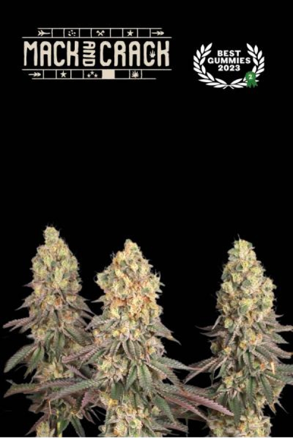 Superior Mack & Crack Auto Feminised Cannabis Seeds | Seed Stockers