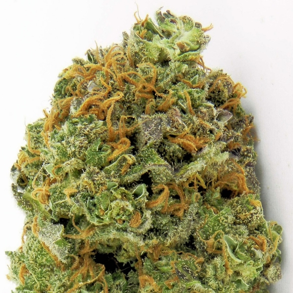 Wipeout Express Auto Feminised Cannabis Seeds | Heavyweight Seeds