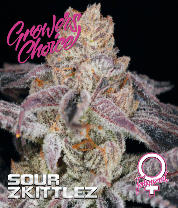 Sour Zkittlez Feminised Cannabis Seeds - Growers Choice