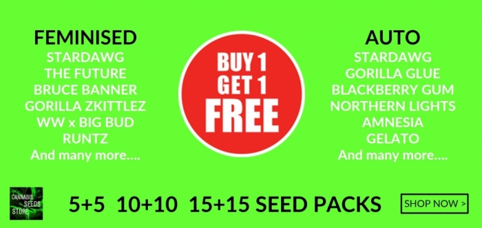 Buy One Get One Free - Cannabis Seeds Store