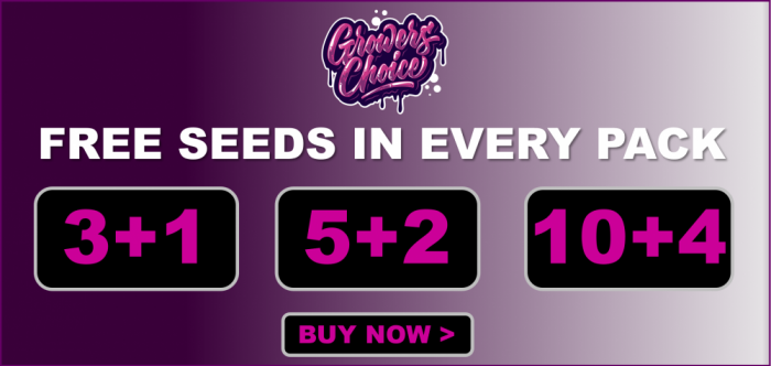 Growers Choice Free Seeds - Cannabis Seeds Store