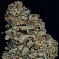 Gorilla Zkittlez Feminised Cannabis Seeds | Big Head Seeds 