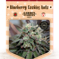 Blueberry Cookies Auto Feminised Cannabis Seeds | Garden of Green