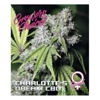 Charlottes Dream CBD Auto Feminised Cannabis Seeds - Growers Choice