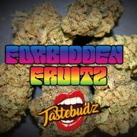Forbidden Fruitz Auto Feminised Cannabis Seeds - Tastebudz. Forbidden Fruitz Auto Feminised Cannabis Seeds - Tastebudz.