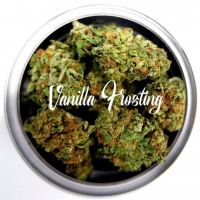 Vanilla Frosting Feminised - Tastebudz
