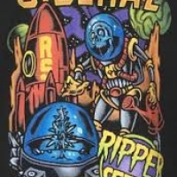  Sideral Feminised Cannabis Seeds | Ripper Seeds