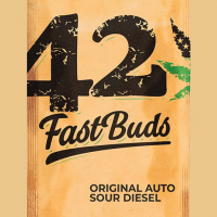 Auto Sour Diesel Feminised cannabis Seeds | Fast Buds Originals.