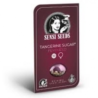 Tangerine Sugar Feminised Cannabis Seeds | Sensi Seeds.