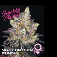Watermelon Punch Feminised Cannabis Seeds - Growers Choice.