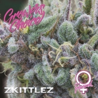 Zkittlez Feminised Cannabis Seeds - Growers Choice.