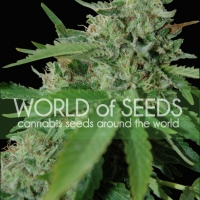 Brazil Amazonia Regular Cannabis Seeds | World of Seeds