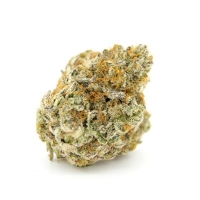 Cherry Mac Muffin Feminised Cannabis Seeds - Growers Choice