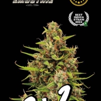 Superior Tropical Zmoothie Auto Feminised Cannabis Seeds | Seed Stockers