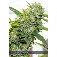 Vision Kosher Feminised Cannabis Seeds | Vision Seeds