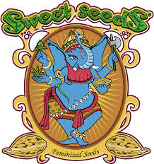 Auto Sweet Skunk Feminised Cannabis Seeds | Sweet Seeds.